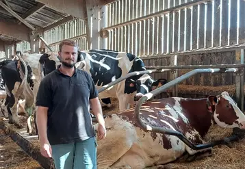 Alexandre Berruet, du Gaec fontaine Lintry : « Même en saison de pâturage, les vaches reçoivent un peu de la ration hivernale. »
