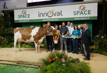 Concours : les grandes championnes du space 2024 en images