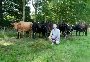 éleveur en Ile-et-Vilaine avec des vaches croisées jersiaises brunes des Alpes et prim'Holstein