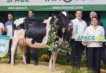 Noe Pensylvani copropriété du Gaec Pom Holstein, Quim Serrabassa, Agriber et Triangle Holstein (35)