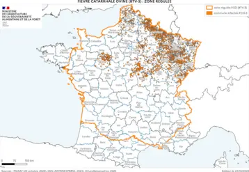 zone régulée fco 3 date du 24 octobre 2024