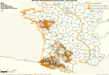 Cartographie de la zone réglementée au titre de la MHE à partir des foyers du sud-ouest (à la date du 24 octobre 2024)