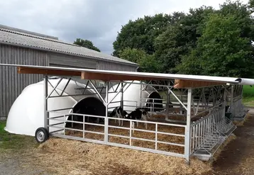 <em class="placeholder">veaux de boucherie élevés en igloo avec accès extérieur</em>
