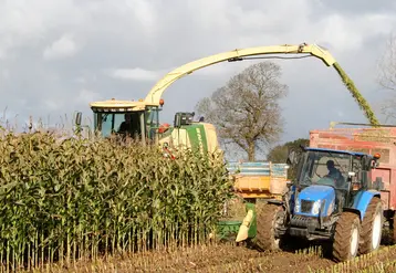 <em class="placeholder">Chantier d&#039;ensilage de maïs</em>