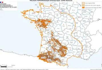 Cartographie de la zone réglementée au titre de la MHE à partir des foyers du sud-ouest, à la date du 5 décembre 2024.