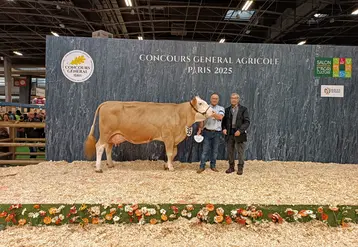 Gourmande est sacrée championne adulte et meilleure laitière du concours général agricole 2025 de la race simmental, à Paris.