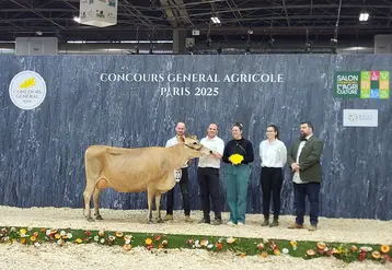Grande championne : Royale (VJ Higher) de la SCEA Gaborit (49)