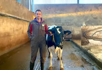 <em class="placeholder">Victor Buns à la tête, avec son oncle et un cousin salarié, d’une exploitation de 120 vaches à Bailleul dans le Nord, à la frontière avec la Belgique.</em>