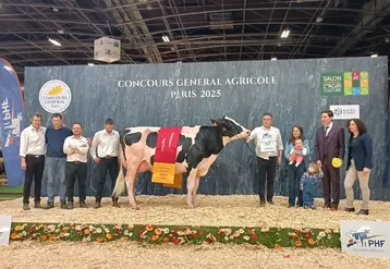 <em class="placeholder">championne suprême prim&#039;Holstein SIA 2025</em>