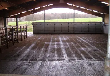 <em class="placeholder">Aire d&#039;attente construite en portique bipente dans un bâtiment pour vaches laitières </em>
