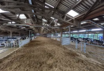 <em class="placeholder">L&#039;aire paillée offre une surface de 1 200 m2 séparée en deux.</em>