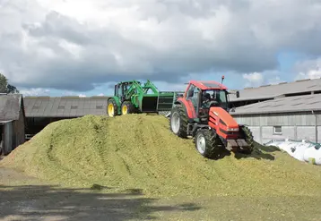 <em class="placeholder">Ensilage de maïs, silo, tassage</em>