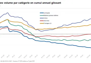 <em class="placeholder">graphique vente produits laitiers en volume </em>