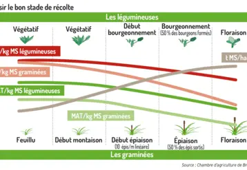 graphique choisir le bon stade de récolte pour les dérobées