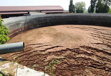 <em class="placeholder">fosse avec croûte</em>