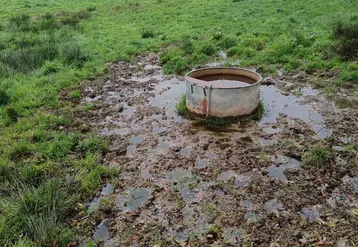 <em class="placeholder">abreuvoir en zone humide</em>