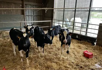 <em class="placeholder">Espérons que vos génisses seront belles et pas trop  en 2025 !</em>