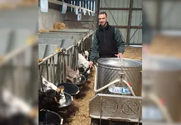 éleveur salarié en train de distribuer du lait aux veaux
