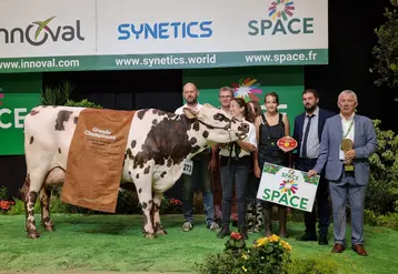 Tac, la vache grande championne du concours de la race normande au space 2026