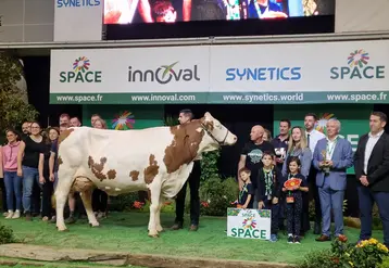 Rihanna, une vache de race montbéliarde, élue Championne suprême du Space 2026
