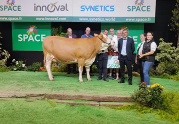 Grande championne, championne et meilleure mamelle de la section jeune (1ère lactation) : Ultra (Enjoy X Figo) du Gaec Breizh Simm (56)