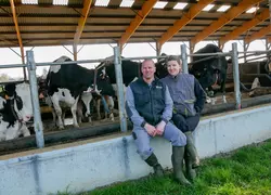 stabulation vaches laitières en Loire-Atlantique, logettes, matelas à eau, filet brise-vent