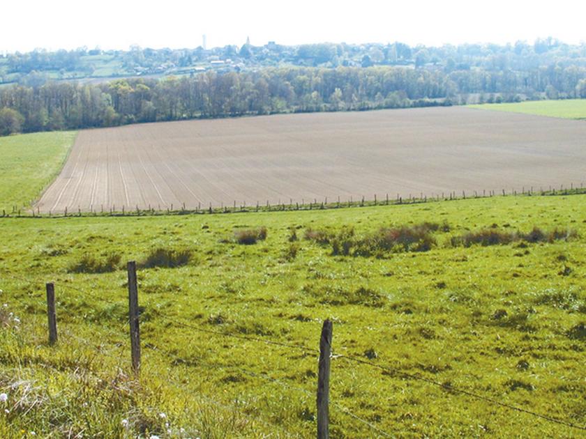 Fermage le cas des petites parcelles Le Sillon