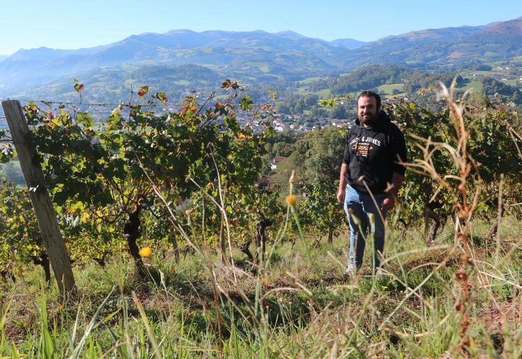  Laurent Goïty au cœur de ses vignes dans les collines du Pays basque