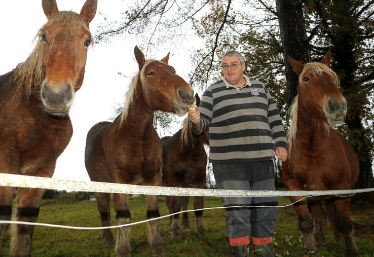 Arnaud Prat entouré de 4 chevaux sur sa prairie.