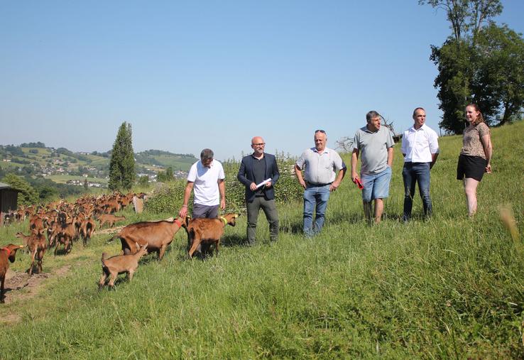 Troupeau de chèvre, leur éleveuse de chèvre et les élus de la CCLO