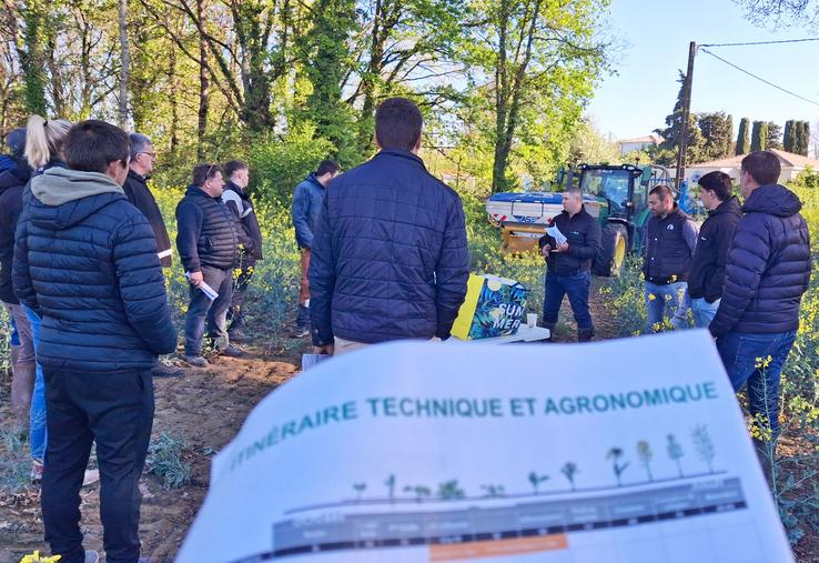 Une dizaine d’agriculteurs écoutent technicien sur une parcelle. 