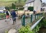 Des vaches et des brebis traversent le pont de Lourdios