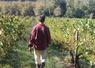 Un viticulteur arpente ses rangées de vignes