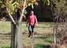 Daniel Larrieu observe ses haies bocagères depuis sa prairie.