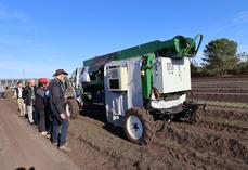 récolte robotisée des asperges