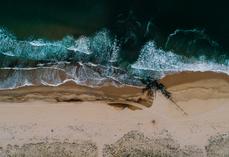 Littoral sableux sud aquitain