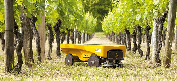 file-De la robotique au biocontrôle en passant par le big data, les champs de l’innovation pour l’agriculture sont multiples. De la robotique au biocontrôle en passant par le big data, les champs de l’innovation pour l’agriculture sont multiples.