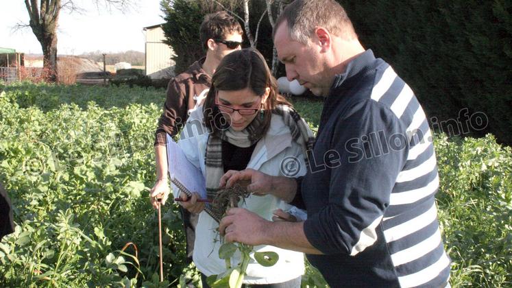 file-Autonomie fourragère, techniques culturales simplifiées, rotation des cultures, couverts végétaux: les pistes pour des pratiques durables explorées par GIEE-Agro Réseau 64