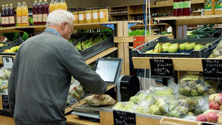 file-Depuis ce 1er janvier, à part pour les sacs de caisse à usage unique, seuls les sacs biosourcés et compostables en compostage domestique peuvent être utilisés dans les grandes surfaces.