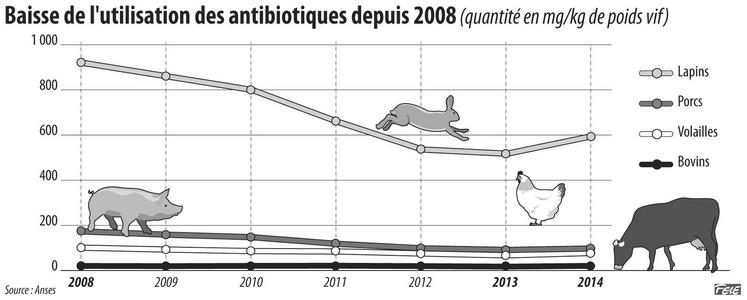 file-En 5 ans, les ventes d’antibiotiques dans les élevages français ont diminué de 23%, et depuis 1999, la baisse est de 40,4%