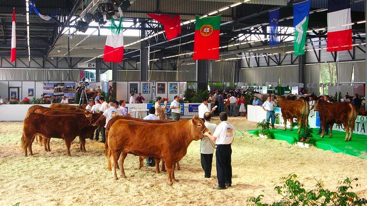 file-Chaque année, le Salon de l’Agriculture Nouvelle-Aquitaine accueille 400 bovins, à l’occasion d’Aquitanima, le Salon de l’Élevage et de la Génétique Bovine du grand sud de l’Europe.