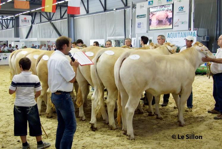 file-400 bovins de tout le Sud-Oouest sont en concours à Bordeaux