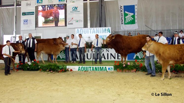 file-400 bovins de tout le Sud-Oouest sont en concours à Bordeaux