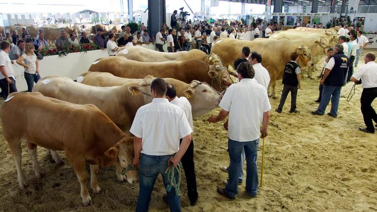 file-Le salon régional de l’agriculture de Bordeaux, à l’image de la nouvelle grande région, passe, cette année, en version XXL