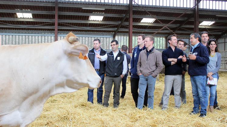 file-Tout au long des Aquitanima Tours puis des concours Aquitanima, les échanges se multiplient.