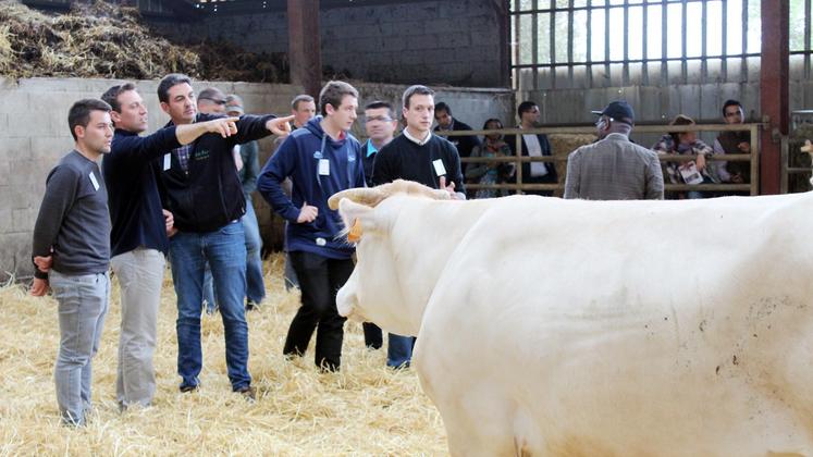 file-Organisés en collaboration avec l’agence Interco Aquitaine, les circuits Aquitanima Tours permettent de faire la promotion de la génétique du Sud-Ouest auprès de 160 professionnels étrangers en visite sur le salon bordelais.