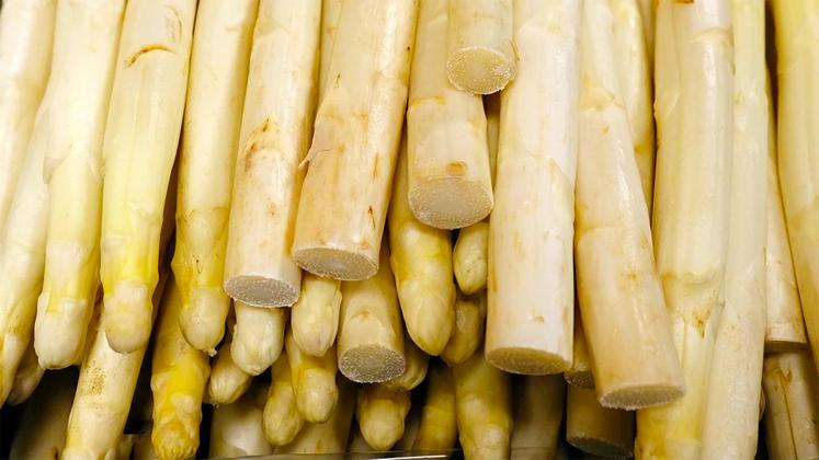 file-Les asperges 2017, dont la récolte a démarré fin février pour celles cultivées sous de mini-tunnels, se caractérisent par de beaux calibres, jusqu’à 20% supérieurs à ceux de l’année dernière.