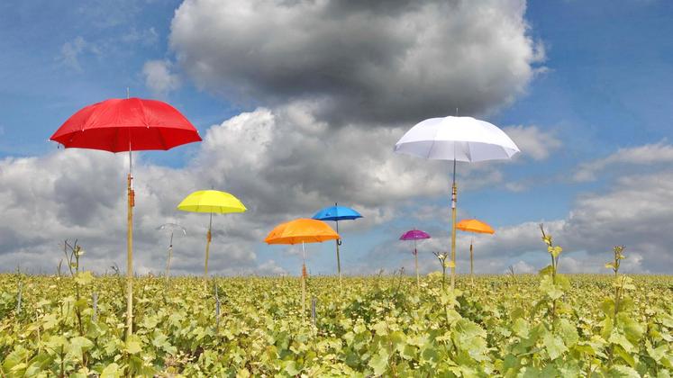 file-Aujourd’hui, 25 à 35% de la SAU française en grandes cultures et en viticulture sont assurés.