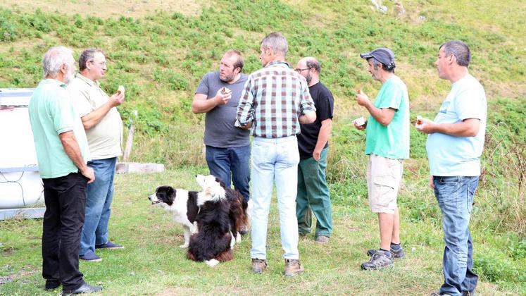 file-Le débat d’une réintroduction de deux ourses dans les Pyrénées déchaîne à nouveau les passions.