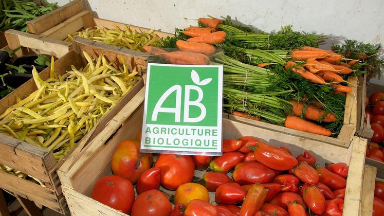 file-L’agriculture bio est confrontée aux mêmes problèmes de répartition des marges que l’agriculture conventionnelle.